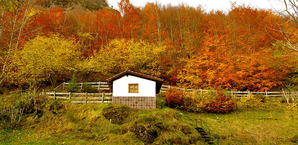 cabaña y árboles rojos otoño picos de europa