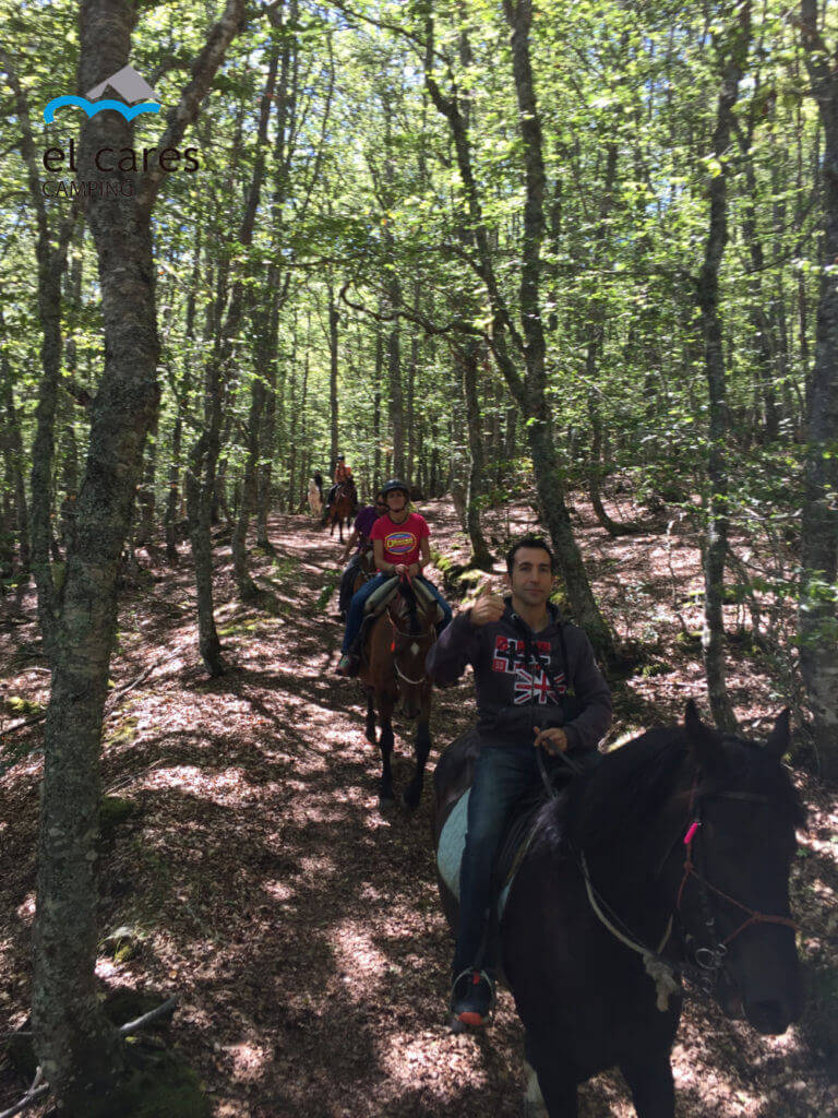 three-people-on-horseback-crossing-a-beautiful-beech-forest-in-Picos-de-Europa