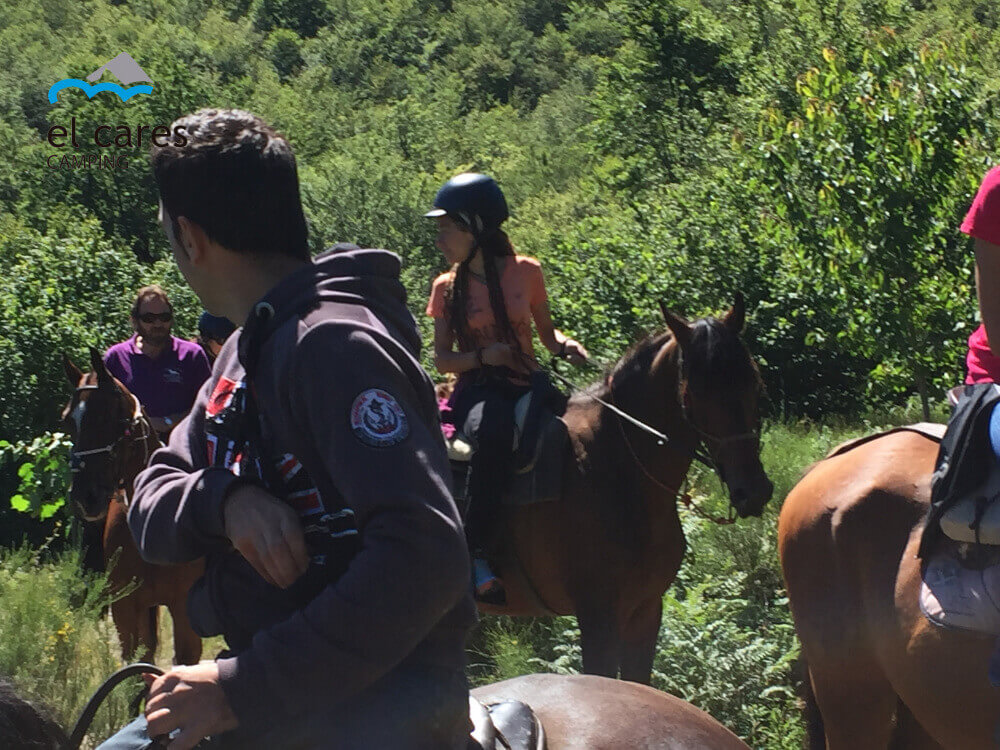 personas-haciendo-rutas-a-caballo-por-un-precioso-hayedo-en-el-parque-nacional-de-picos-de-europa