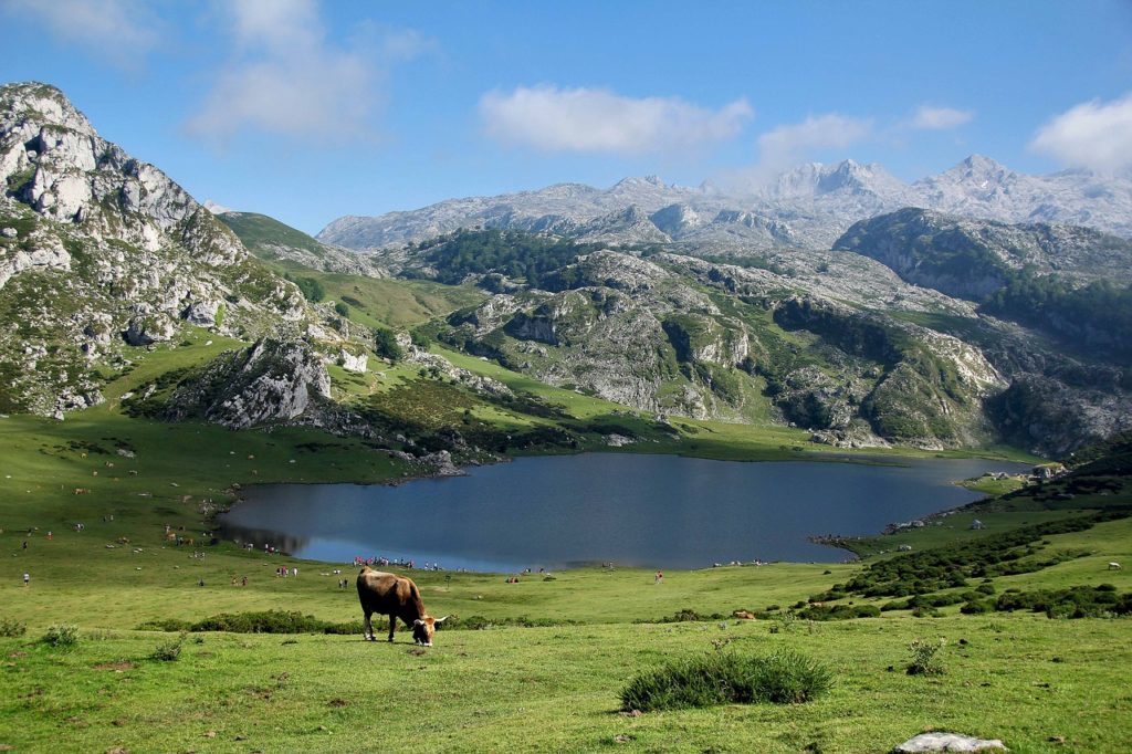 Lagos de Covadonga