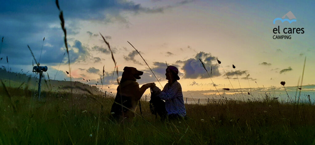 Camping with dogs