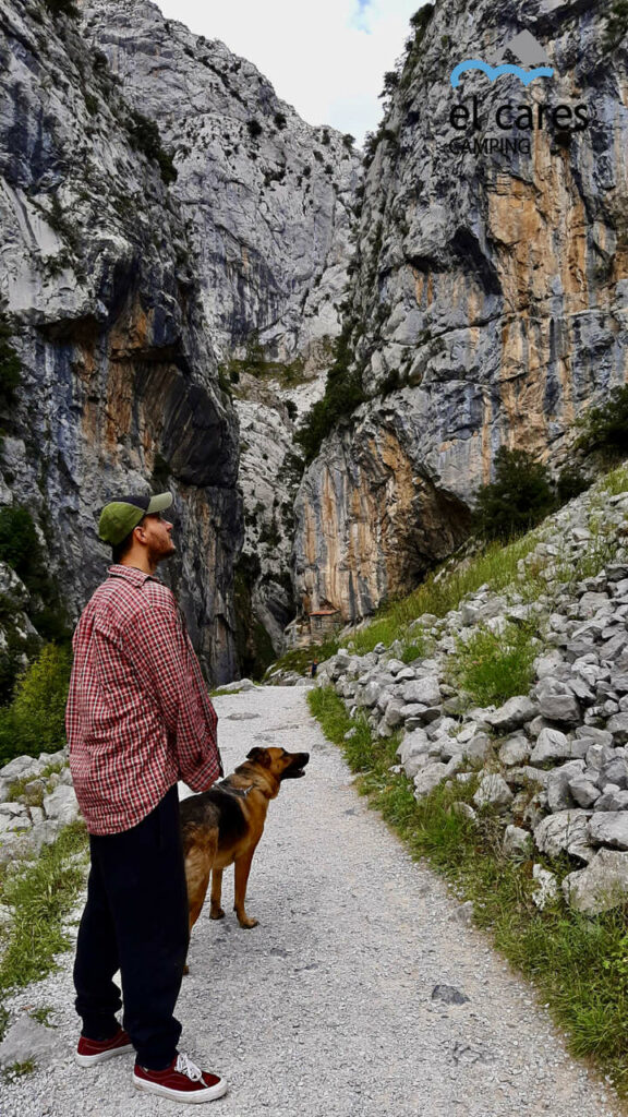 Ruta del Cares con perro Asturias León